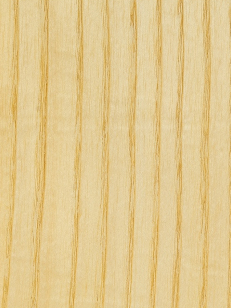 American White Ash